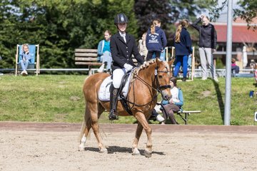 Bild 545 - Pony Akademie Turnier